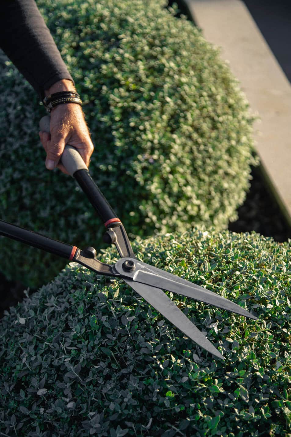 gardening_1_epmmallorca
