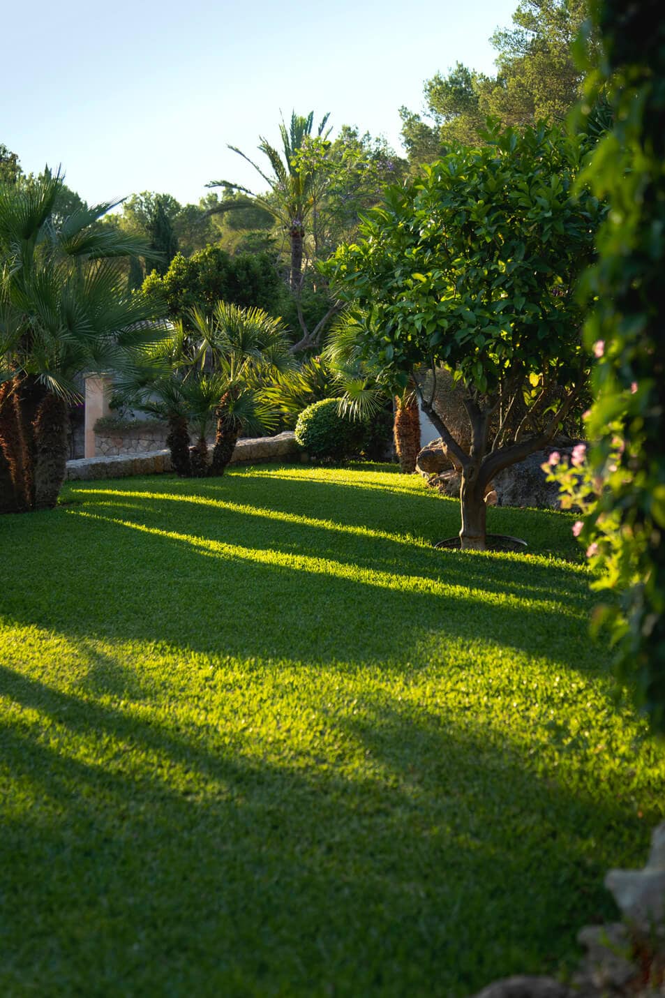 gardening_2_epmmallorca