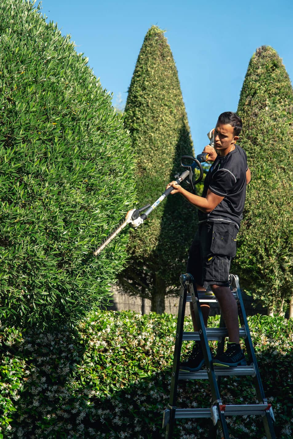 gardening_3_epmmallorca