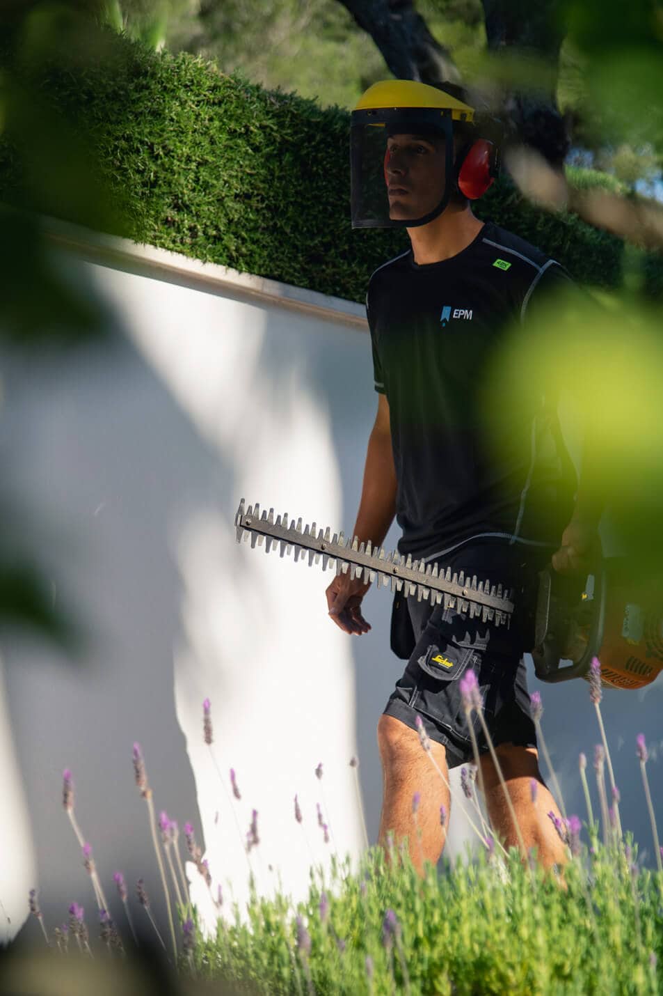 gardening_6_epmmallorca
